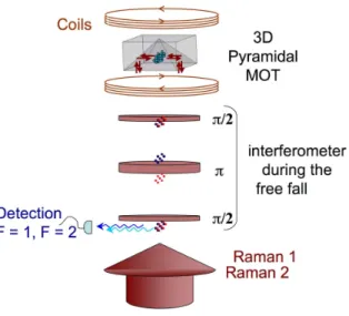 FIG. 1. Experimental setup of the experiment; the two frequency collimated laser beam arrives from the bottom by one single fiber and cools down 1.2 10 6 atoms to 2.5 µK