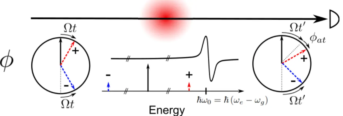 Figure 7: Schematic view of a population sensitive heterodyne measurement. The circles are instantaneous phase representations of the optical frequency components in the frame rotating at the carrier frequency