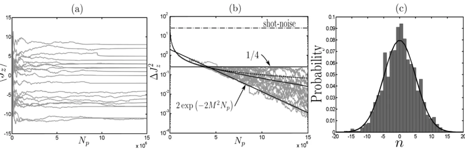 FIG. 3: Trajectories of the atomic distribution momenta obtained with a Monte-Carlo simulation, once set N at = 200, φ = 10 − 3 rad, and R = T = 1/2