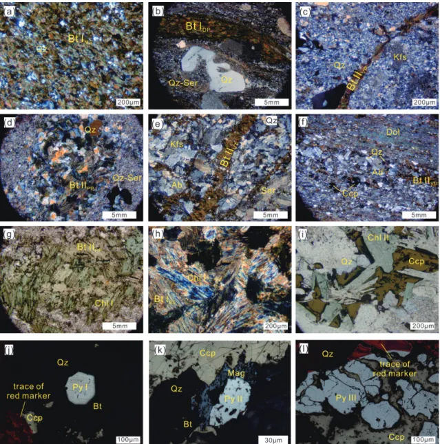 Figure 7. (a) Microscopic photos showing metamorphic biotite in biotite schist (Bt I BS ); (b) Biotite in monzogranite porphyry (Bt I DP ); (c) Biotite veins in monzogranite porphyry (Bt II VP ); (d) Secondary biotite replacing earlier phenocrystic biotite