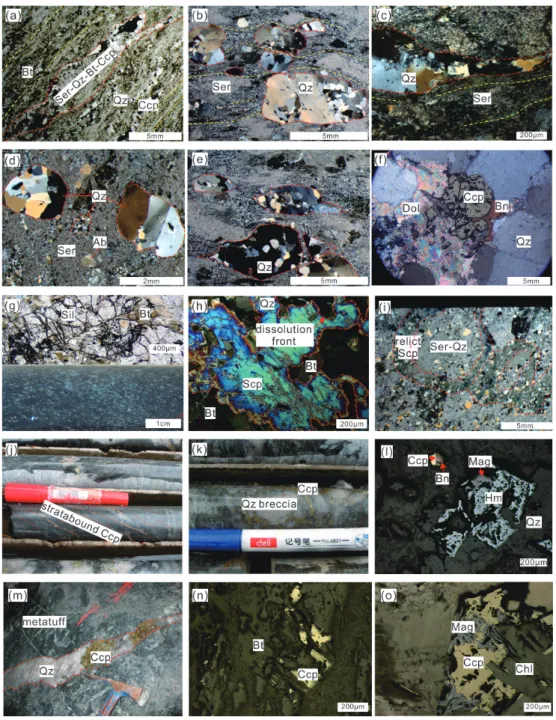 Figure 3. Petrographic and field photos of the Tongkuangyu copper deposit. (a) Mineral alignments in metatuff with biotite thin layers and sericite-quartz-biotite-chalcopyrite thick layers; (b) Mineral alignments in monzogranite porphyry with sericite laye