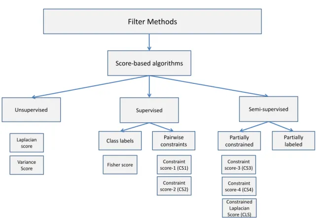 Figure 1.6: Score-based feature selection methods categorized according to the differ- differ-ent learning contexts.