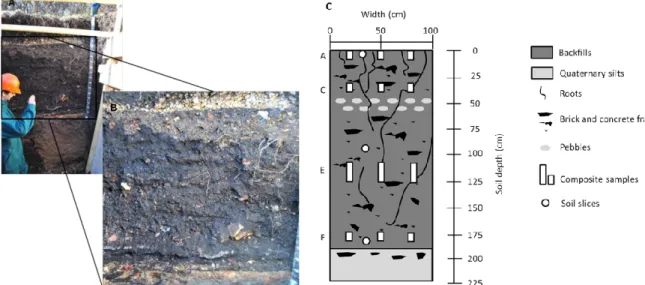 Figure 1. Soil profile. A General overview. B. Details of the central zone of the  profile