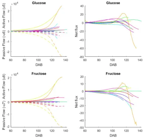 Figure 6: Evolution of the active ux (solid lines) and passive transport (dashed lines) for glucose (respectively fructose) and net ux during fruit development (DAB, day after bloom) for the ten genotypes of the training set (dierent colors).