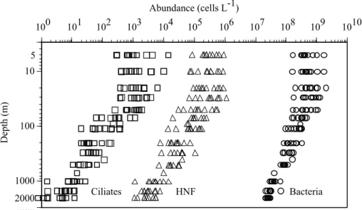 Fig. 2. Distributions of bacteria, heterotrophic nanoflagellates (HNF) and ciliates. Measure- Measure-ments were monthly done at 13 depths between 5 and 2000 m from May 1999 to March 2000 at the DYFAMED site (Redrawn from Tanaka and Rassoulzadegan, 2002)
