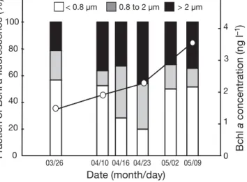 Fig. 4. Size fractionation of Bchl a fluorescence in a coastal Mediterranean lagoon, in Mediterranean coastal (bay, Stn SOLA; shelf, Stn POLA) and offshore (Stn MOLA) waters