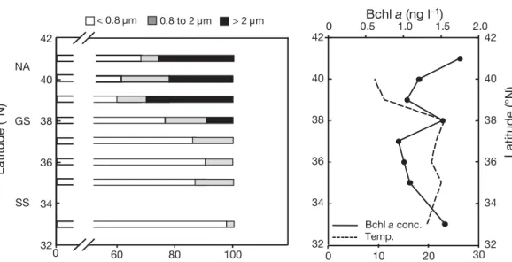 Fig. 6. Size fractionation of Bchl a fluorescence in the North Atlantic (NA) and Sargasso Sea (SS)