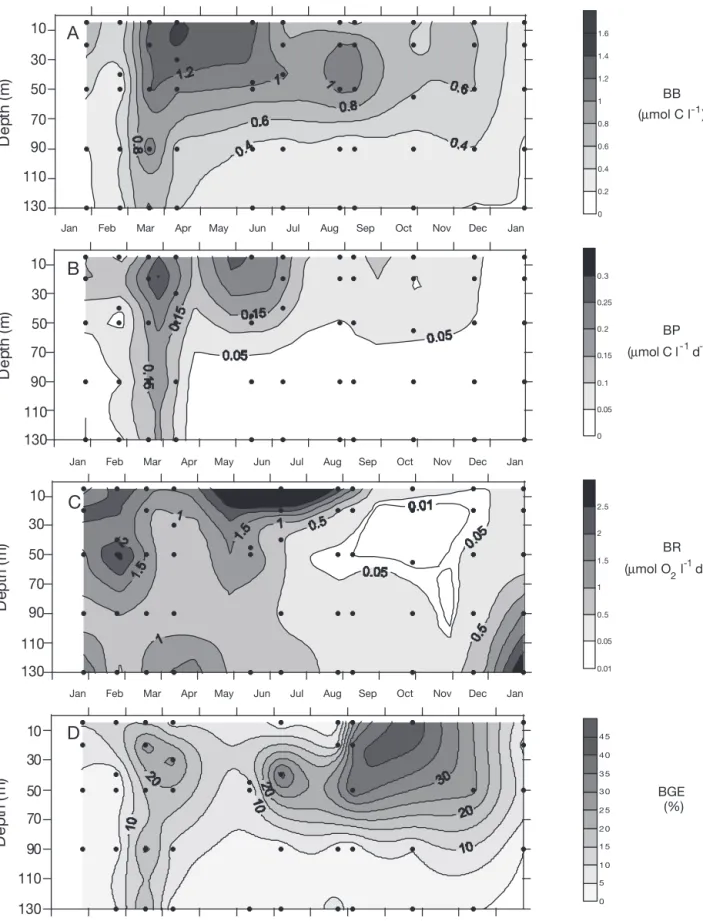 Fig. 3. (A) Bacterial biomass (BB), (B) bacterial production (BP), (C) bacterial respiration (BR) and (D) bacterial growth efficiency  (BGE)