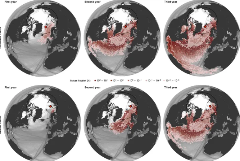 Fig. 3. Oceanic pathway of the plastic accumulations in the Greenland Sea (upper maps) and the Barents Sea (lower maps) obtained by simulations backward in time.