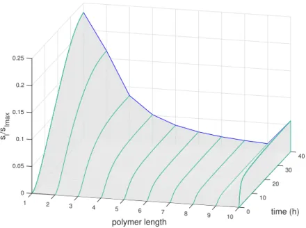 Figure 6: Time-evolution of the distribution of polymer concentrations including all the intermediate size between the maximal polymer length n = 10 and monomers.