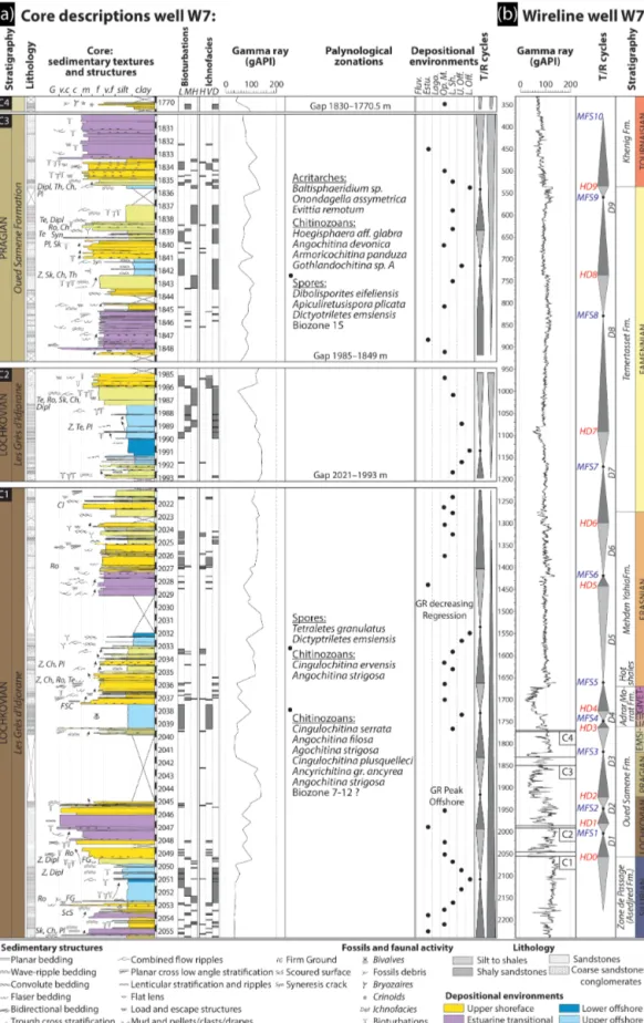 Figure 8. (a) Core description, palynological calibration, and gamma-ray signatures of well W7 modified from an internal core description report (Dokka, 1999) and an internal palynological report (Azzoune, 1999)