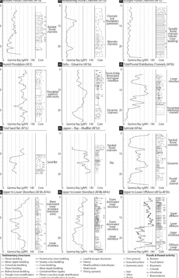 Figure 9. The main depositional environments (a–l) and their associated electrofacies (i.e., gamma-ray patterns) modified and compiled from Eschard et al