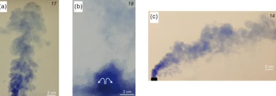 Figure 6 shows the comparison between the theoretical predictions of collapse and our experimental obser- obser-vations using the two key parameters identified in section 2: the wind-to-plume velocity ratio (W ∗ ) and the source Richardson number (Ri 0 )