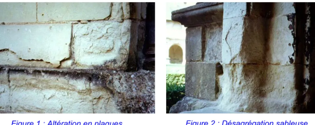 Figure 1 : Altération en plaques  (château de Blois) (Rautureau [3]) 