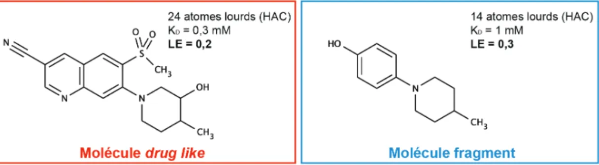 Figure 1.3 – Comparaison de l’eﬃcacité de liaison (LE) d’une molécule "drug-like" et d’un fragment pour une même protéine cible.