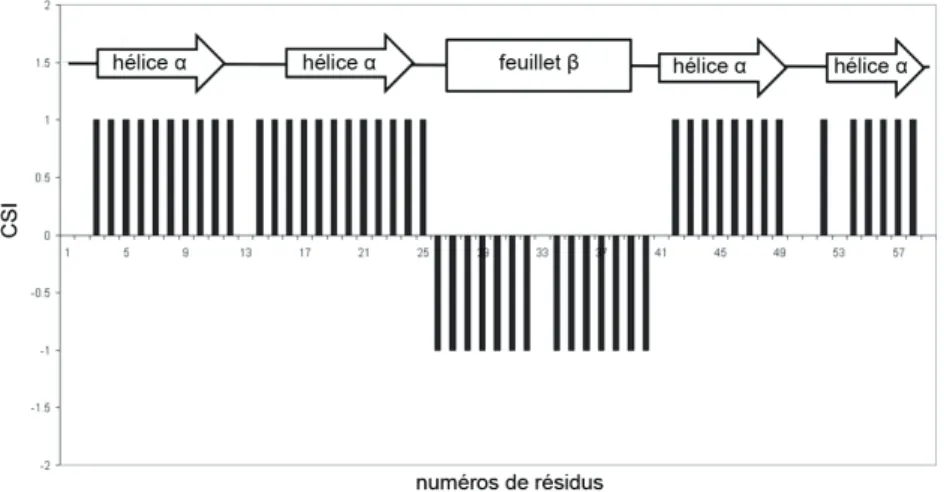 Figure 2.9 – Estimation de la structure secondaire d’une protéine à partir de ses déplace- déplace-ments chimiques grâce au Chemical Shif Index (CSI).