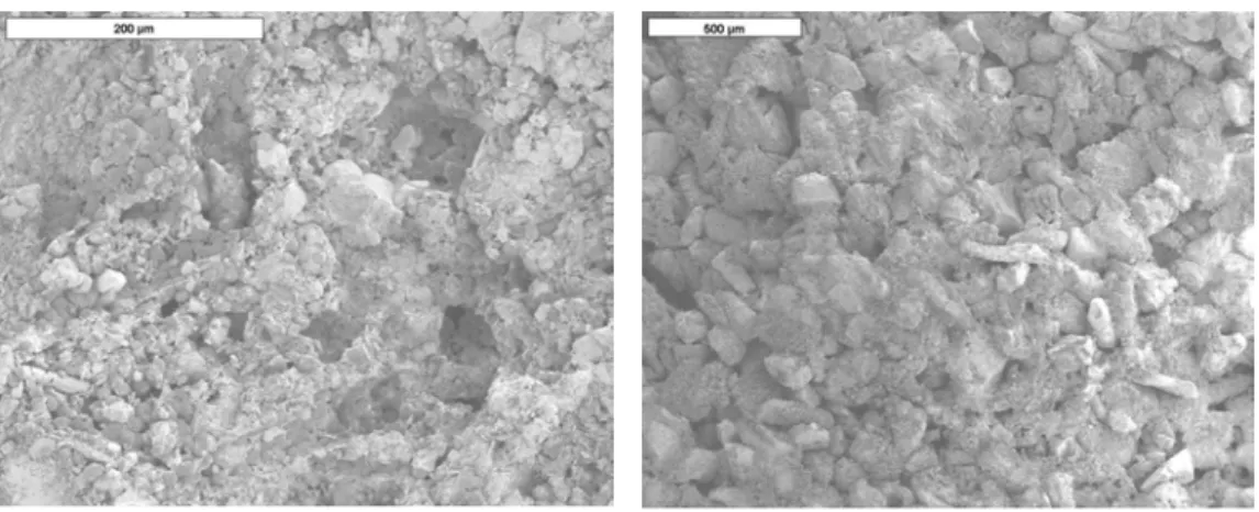 Fig. 1. SEM image of tuffeau   Fig. 2. SEM image of Sébastopol stone  