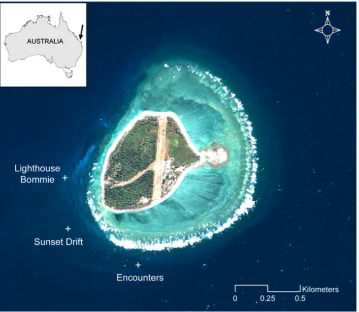 Fig 1. Sampling sites of Lady Elliot Island. Map of Lady Elliot Island (24°07 ’ S, 152°43 ’ E) in the southern Great Barrier Reef, Australia