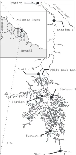 Fig. 1. Map of the study site showing the location of the sampling stations along the Petit-Saut reservoir and on the Sinnamary tidal river and estuary.