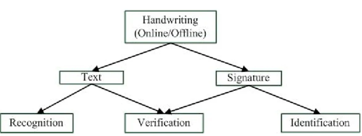 Figure 1.4 Handwriting Recognition (Plamondon, 1989) 