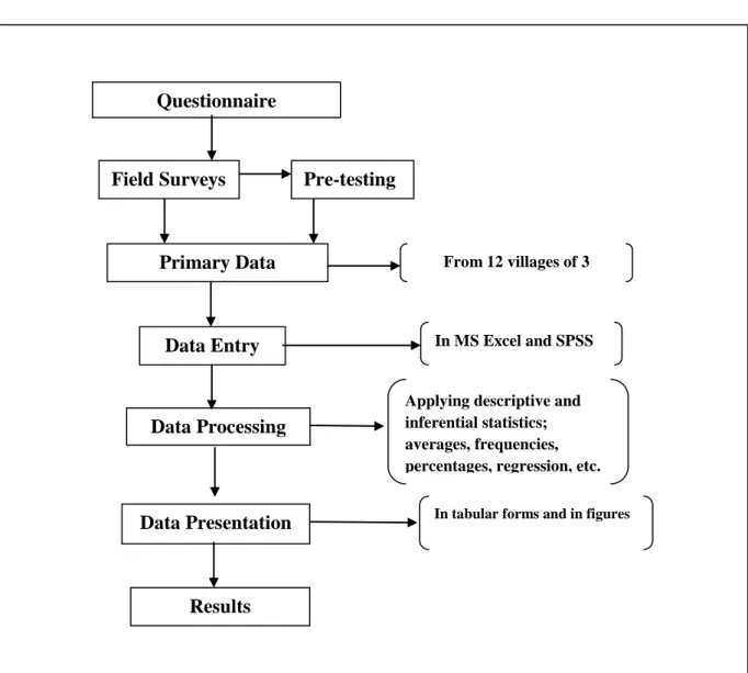 Figure 4: Methodology: Data from Collection to the final presentation   