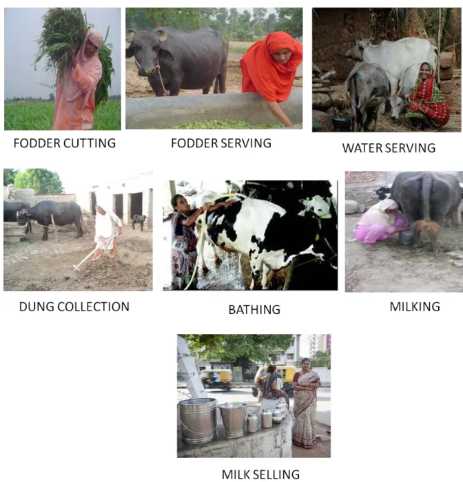 Figure 11: Women’s participation in different livestock management related activities  Bathing—refers to the act of cleaning of animals by washing their bodies