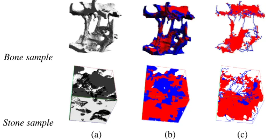 Figure 1: 3D porous object (a), classified volumes (b) and hybrid skeletons (c).