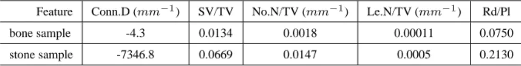 Table 1: Values of different parameters characterizing the porous objects of figure 1.
