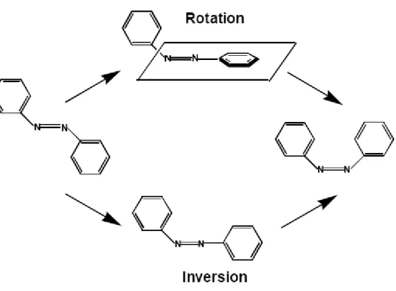 Figure I-11: Rotation and inversion mechanisms pathways for azobenzene isomerization process