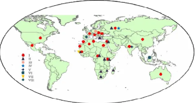 Figure 3. Geographical distribution of different genetic lineages of West Nile virus.  