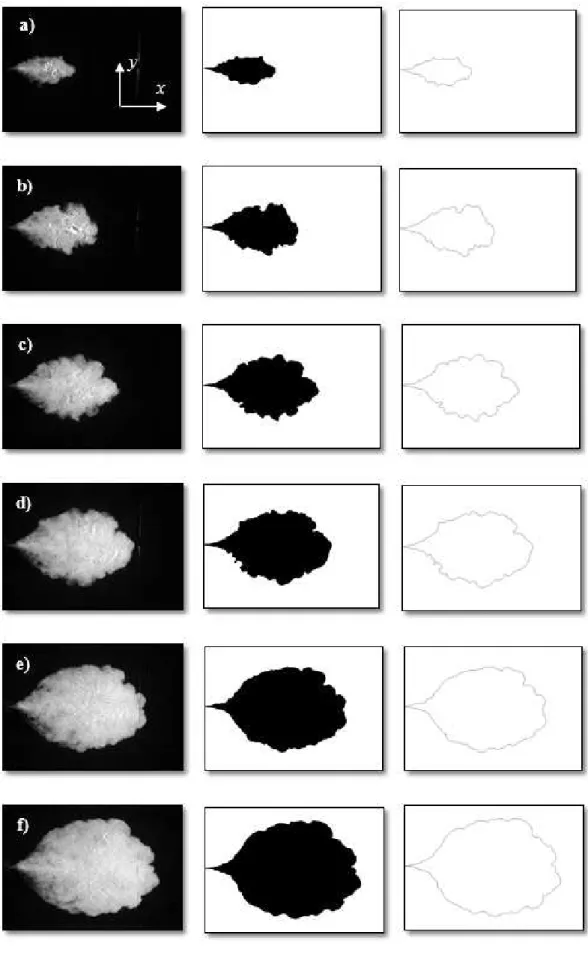 Figure 3.8: Experimental frames capturing by difference (row 1), make binary (row 2), and skeletonize  (row 3) processes of two dimensional gravity currents performed with initial density  ! = 1040!"#/$ % and ! &amp; '()*+ = 1000!"#/$ % ! for R=277