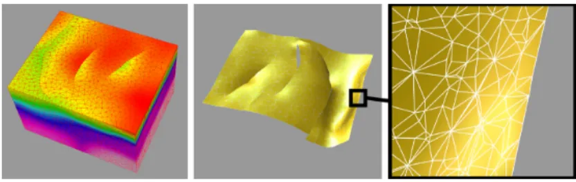 Fig. 3. Isosurface rendering of the fluid pressure field in a tetrahedralized geological model.