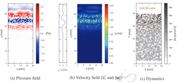 Figure 9: Propagation of a pulse through a granular suspension at t = 20 μ s. Fig. (a) shows the acoustic pressure field, Fig