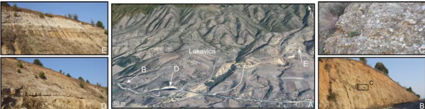 Fig. 10. The Lakavica series. 