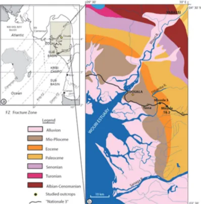 Figure 1. (a) Location of the Douala sub-basin in Cameroon (West Africa) between the main fractures of the  Cameroon margin (compiled from Meyers, Rosendahl, Groschel-Becker &amp; Austin (1996), Rosendahl and  Groschel-Becker (1999), Daily et al