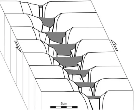Figure 9. Cross sections of model 3. T indicates late transverse fault responsible for basin migration.