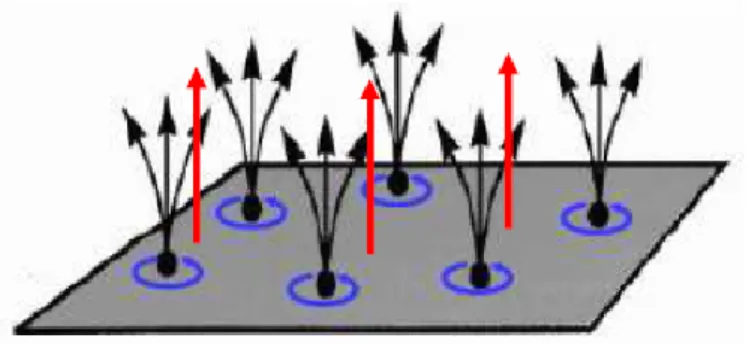 Fig. 3.9 –Création d’un quasitrou de Laughlin à v=1/3[14].