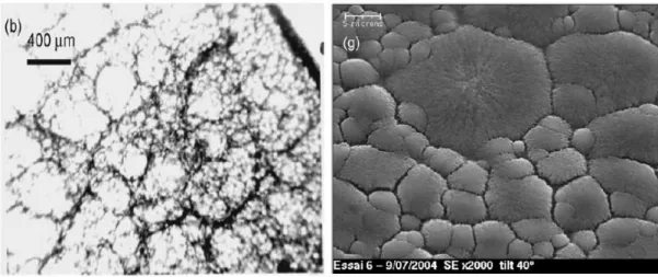 Figure 2.2 : Microstructure d’une goutte de Carbopol [7]. (b) : Carbopol 960 concentré à 0.1% en  masse, (g) : Carbopol 940 concentré à 0.04% en masse