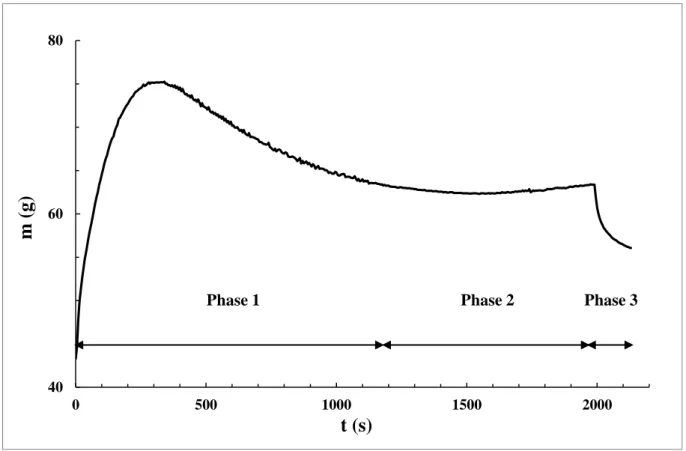 Figure 2.11 : Exemple d’évolution temporelle de la masse pour une sphère. U 0  = 50 µm.s -1 