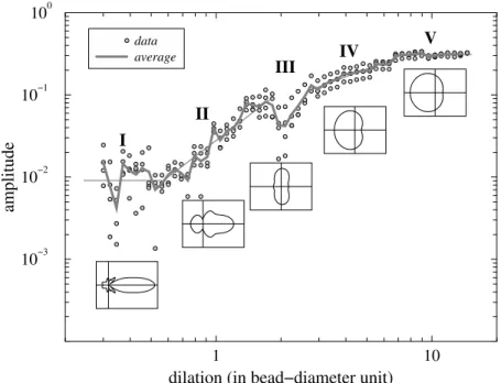 Figure 14. Experimental ridge functions (symbols) corresponding to the labeled lines of maxima extracted from the experimental wavelet response shown in Figure 13 and plotted in a log-log diagram.