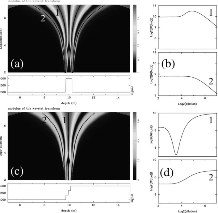 Figure 4. (a) Modulus of the wavelet transform of a window function. At small dilations, the wavelet transform possesses 2 conical structures converging toward the ends of the window and indicating that the window appears as 2 successive singularities