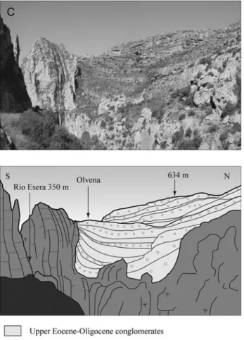 Figure 11. (a) Topography of the Eastern Pyrenees (SRTM90 DEM data) including the Cerdanya, Capcir, and Conflent intermontane basins