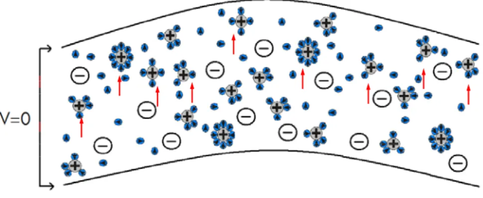 Fig. 2.12: Redistribution of cations towards anode upon short circuiting the electrodes of IPMC