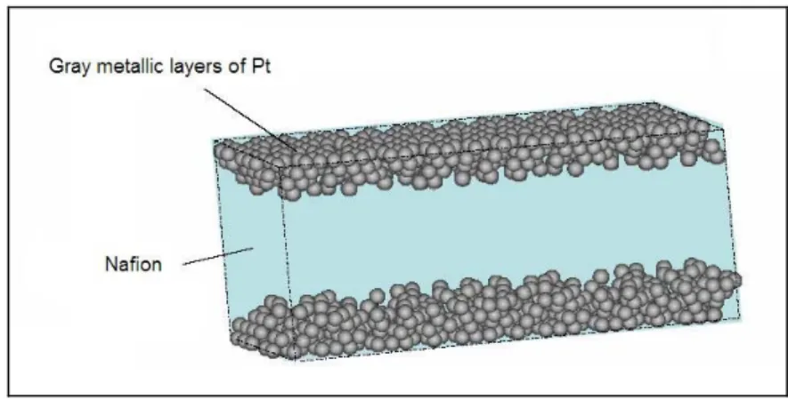 Fig. 3.1: The sketch of an inner coated sample after the impregnation/reduction  process