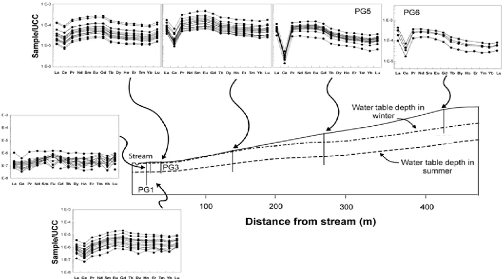 Fig. 3. Evolution of the REE pattern in shallow groundwater relative to the topography in the Mercy sub-catchment (Brittany, France) (Pourret et al