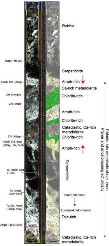 Figure 6. Example of complex lithological and deformation relationships between mafic intrusions in peridotite  and metasomatic domains in the IODP Expedition 357 cores, showing a transition from static alteration to strain  localization in alternating tal