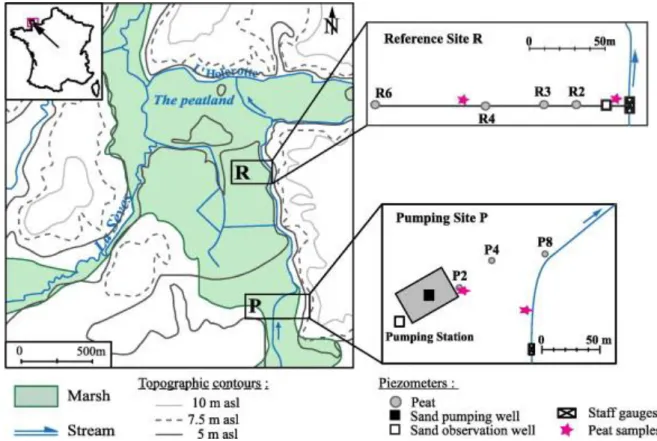 Fig. 1. Location of the study site and piezometers map of the pumped site P, in the front of a  pumping station, and the reference site R, one kilometer downstream, beyond the influence of  the pumping station
