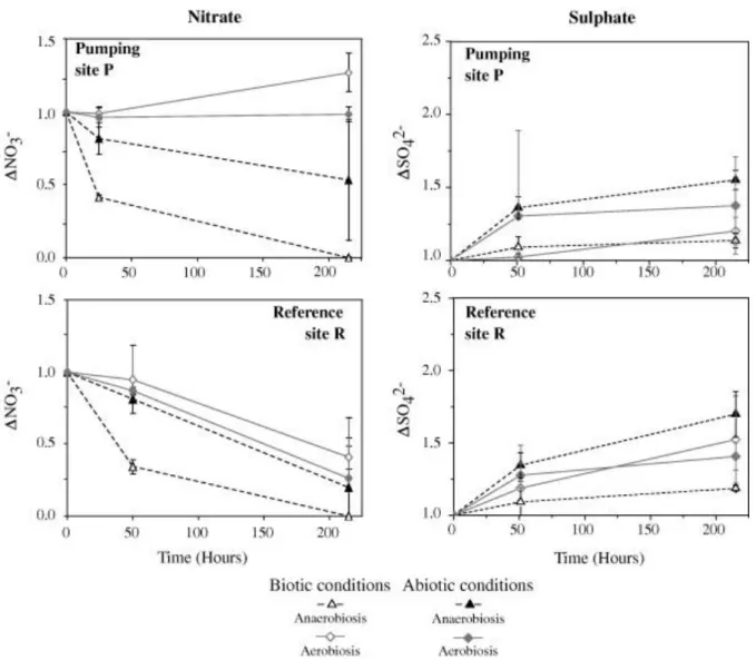 Fig. 7. Comparison of biotic and abiotic changes according to nitrate and sulphate concentrations  throughout the batch experiment