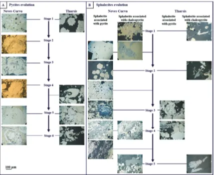 Figure  1.  Organization  chart  of  the  method  used  for  establishing identity cards 