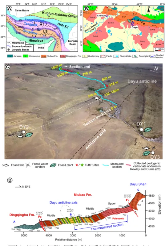 Fig. 1. Tectonic, geological and geomorphological maps showing location of the studied region and sections